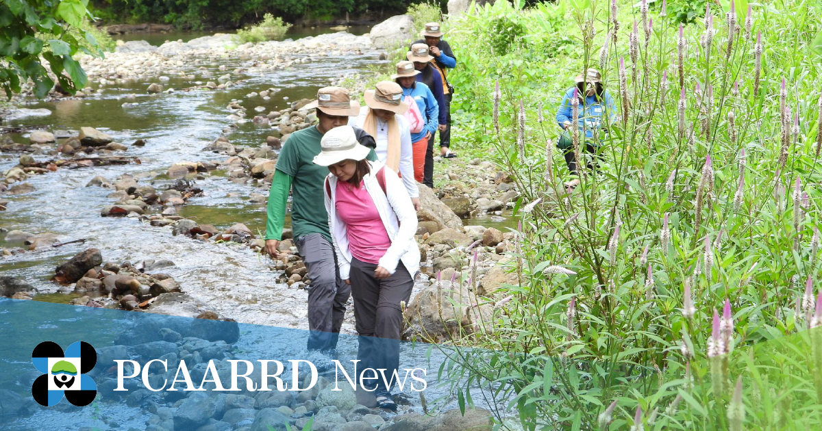 DOST-PCAARRD supports conservation measures for Samar’s Ulot River